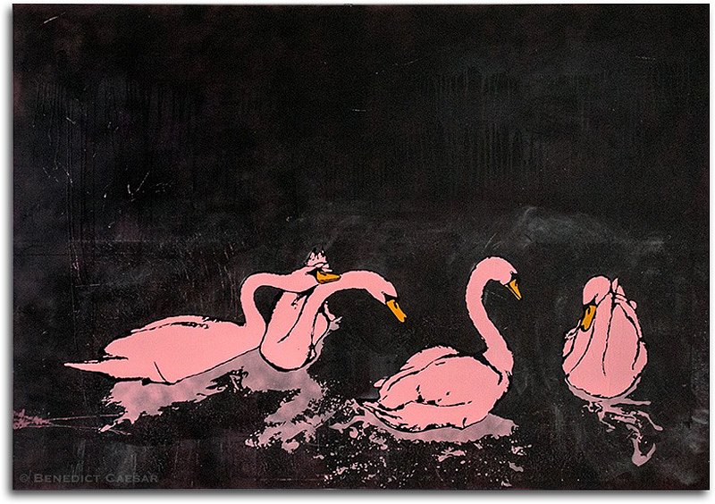 Pink Swans - Gang Bang